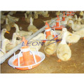 Automatisches Entenfütterungssystem der Leon-Serie für die gesamte Geflügelfarm für die Entenfarm